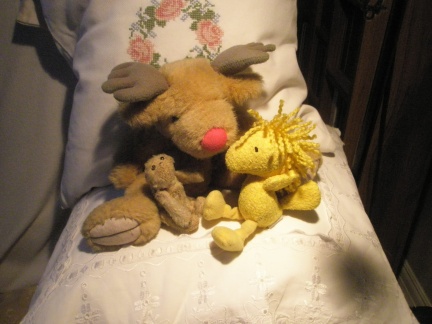 Exchanging opinions with old friends