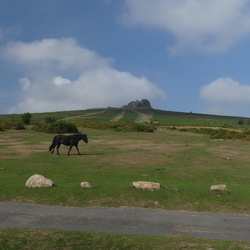 Ascent of Haytor